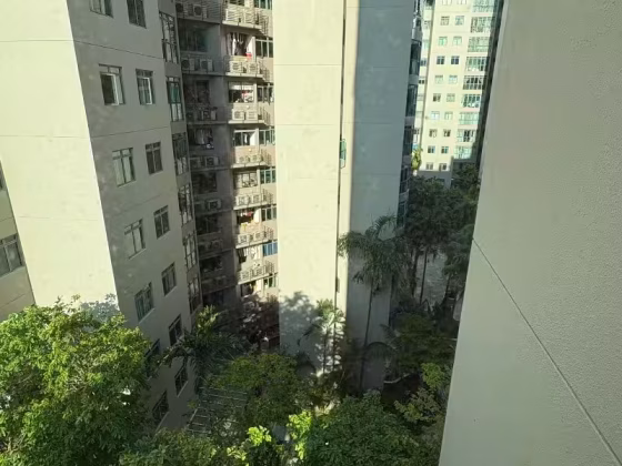 单间出租 • 裕廊西 •  Summerdale • S$2000 • 共管公寓 • 主人房 照片