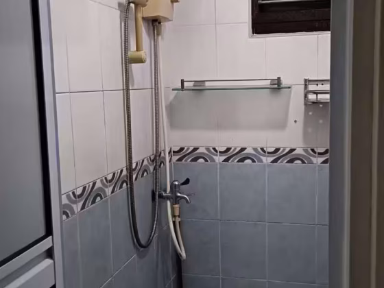 房屋出售 • 武吉知马 • 7 Bedok South Avenue 2 • S$488000 • 4房(3臥室) • 883ft² / 82m² 照片