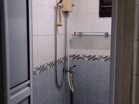 房屋出售 • 武吉知马 • 7 Bedok South Avenue 2 • S$488000 • 4房(3臥室) • 883ft² / 82m² 照片