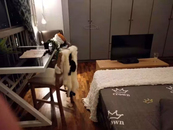 单间出租 • 纽顿 •  Ava Towers • S$1900 • 住宅公寓 • 主人房 照片