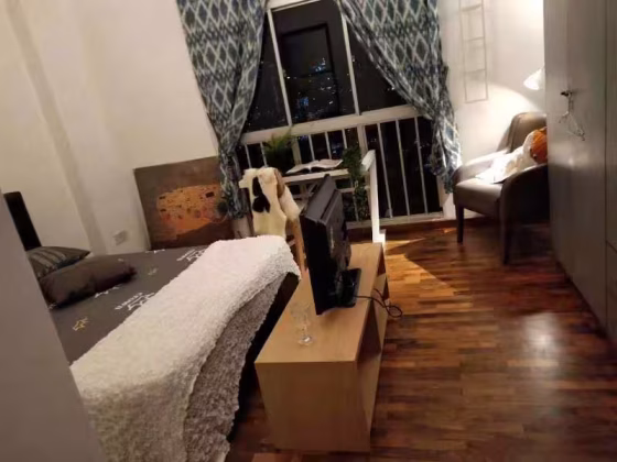 单间出租 • 纽顿 •  Ava Towers • S$1900 • 住宅公寓 • 主人房 照片