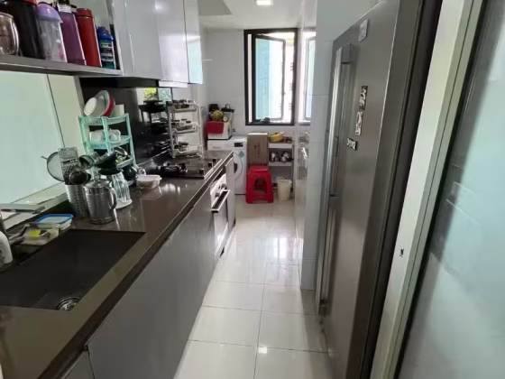 整套出租 • 欧南 •  Sky Green • S$5000 • 共管公寓 • 1152ft² / 107m² 照片