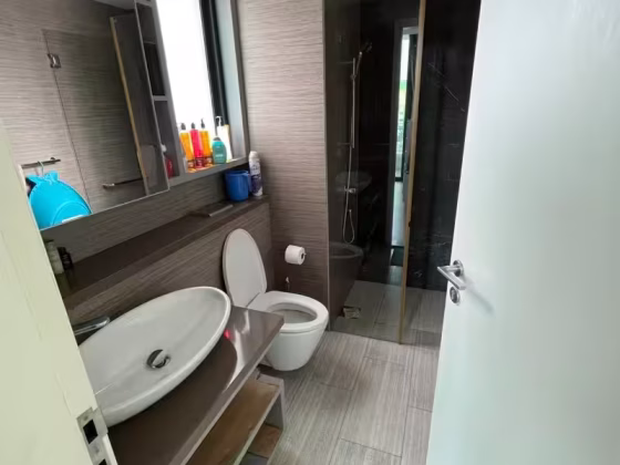 整套出租 • 欧南 •  Sky Green • S$5000 • 共管公寓 • 1152ft² / 107m² 照片