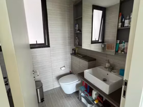 整套出租 • 欧南 •  Sky Green • S$5000 • 共管公寓 • 1152ft² / 107m² 照片