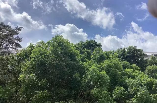 单间出租 • 三巴旺 • 893B Woodlands Drive 50 • S$850 • 执行组屋 • 普通房