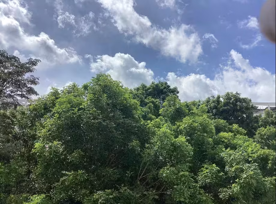 单间出租 • 三巴旺 • 893B Woodlands Drive 50 • S$850 • 执行组屋 • 普通房 照片