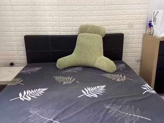 单间出租 • 新加坡河 •  Trilive • S$2000 • 住宅公寓 • 主人房 照片