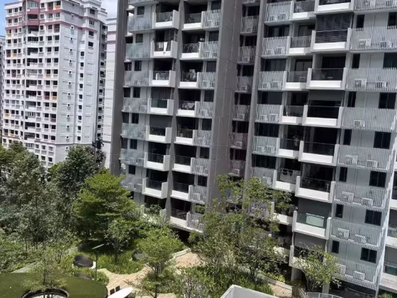 单间出租 • 新加坡河 •  Trilive • S$2000 • 住宅公寓 • 主人房 照片