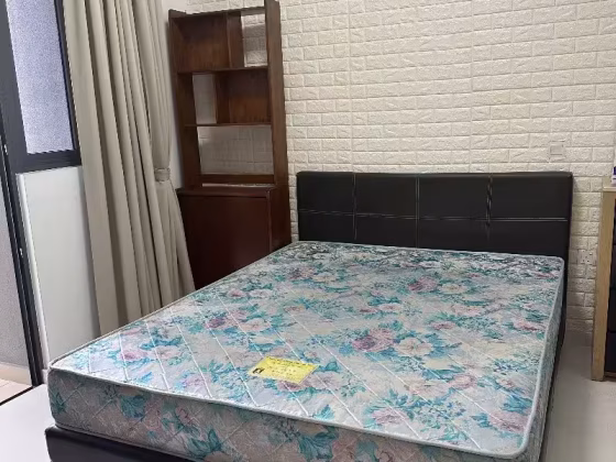 单间出租 • 新加坡河 •  Trilive • S$2000 • 住宅公寓 • 主人房 照片