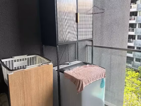 单间出租 • 新加坡河 •  Trilive • S$2000 • 住宅公寓 • 主人房 照片