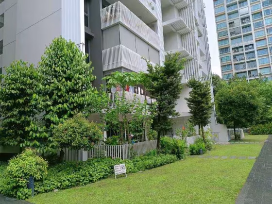 单间出租 • 林厝港 •  The Lakefront Residences • S$1600 • 共管公寓 • 佣人房 照片