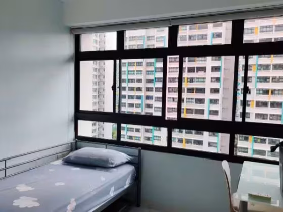 单间出租 • 碧山 • 441A Fernvale Road • S$750 • 3房(2臥室) • 普通房 照片