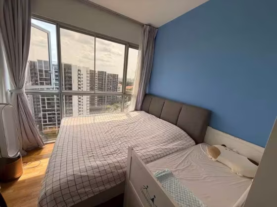 整套出租 • 中央集水区 •  Bartley Residences • S$4100 • 住宅公寓 •  照片