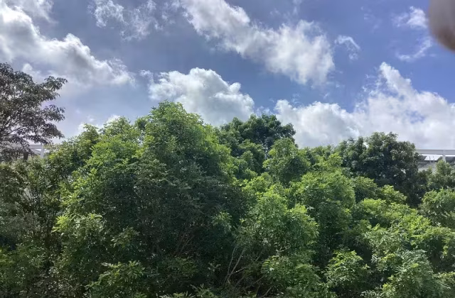 单间出租 • 三巴旺 • 893B Woodlands Drive 50 • S$850 • 3房(2臥室) • 普通房