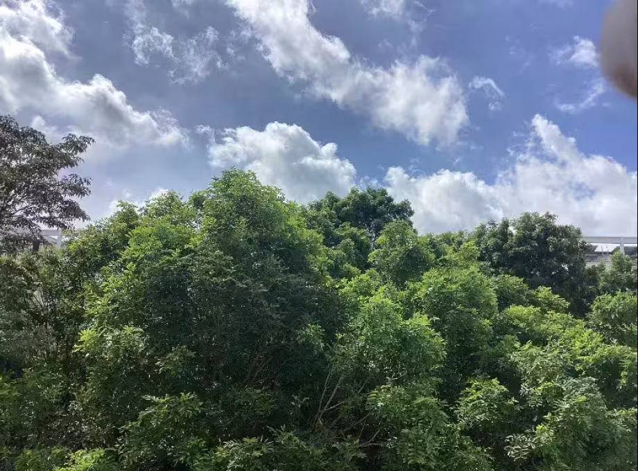 单间出租 • 三巴旺 • 893B Woodlands Drive 50 • S$850 • 3房(2臥室) • 普通房 照片