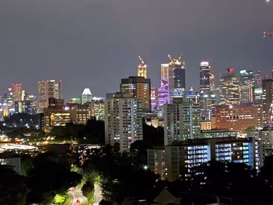 房屋出售 • 金文泰 •  Teresa Ville • S$3488888 • 住宅公寓 • 1927ft² / 179m² 照片