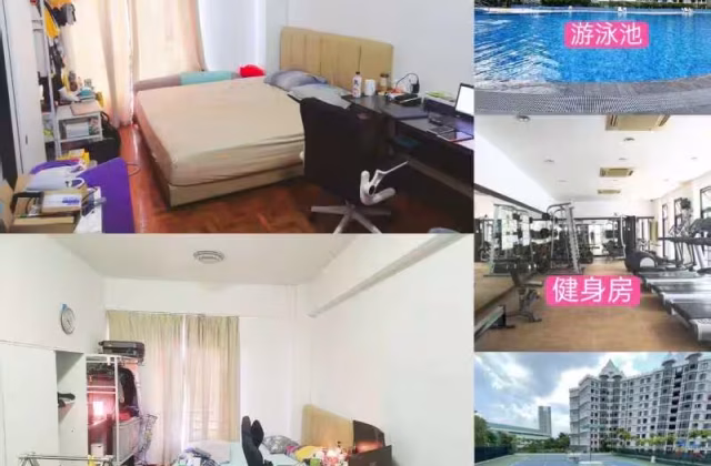 单间出租 • 中央集水区 •  Chiltern Park • S$1250 • 共管公寓 • 普通房