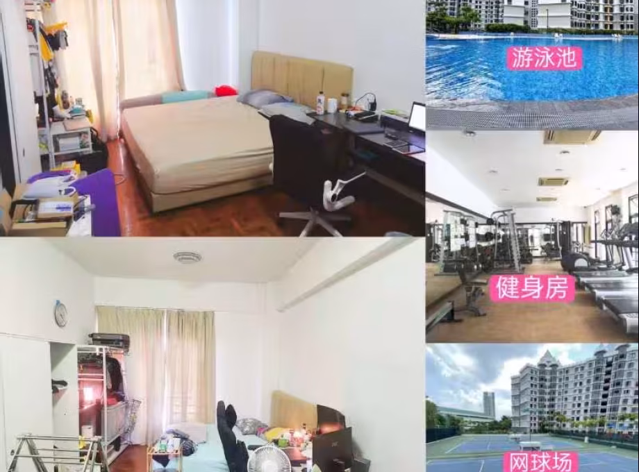 单间出租 • 中央集水区 •  Chiltern Park • S$1250 • 共管公寓 • 普通房 照片