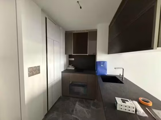 整套出租 • 淡滨尼 •  One Bernam • S$5500 • 住宅公寓 •  照片