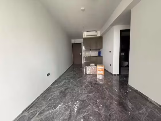 整套出租 • 淡滨尼 •  One Bernam • S$5500 • 住宅公寓 •  照片