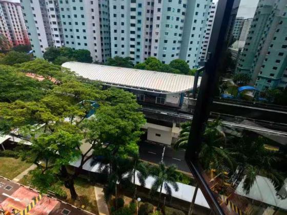 单间出租 • 碧山 • 297A Compassvale Street • S$1200 • 3房(2臥室) • 主人房 照片