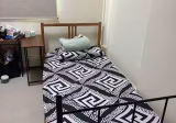 单间出租 • 红山 • 22 Havelock Road • S$500 • 2房(1臥室) • 普通房
