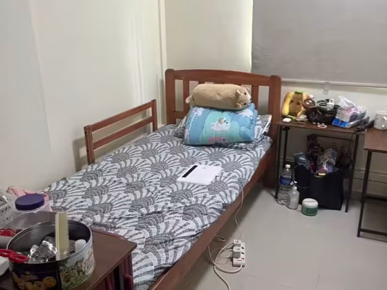 单间出租 • 红山 • 22 Havelock Road • S$500 • 2房(1臥室) • 普通房 照片