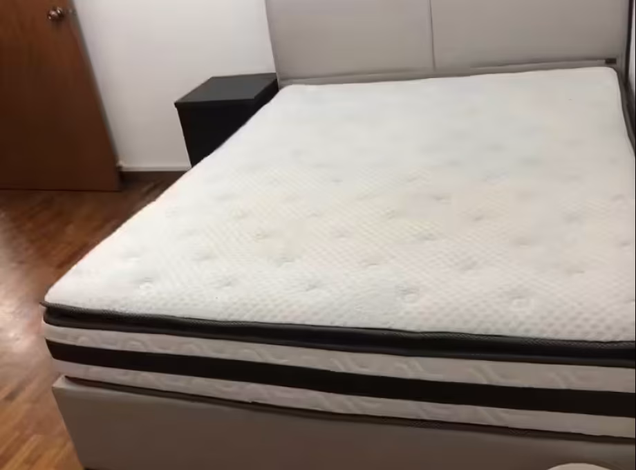 单间出租 • 欧南 •  Tanjong Katong Road • S$1650 • 4房(3臥室) • 主人房 照片
