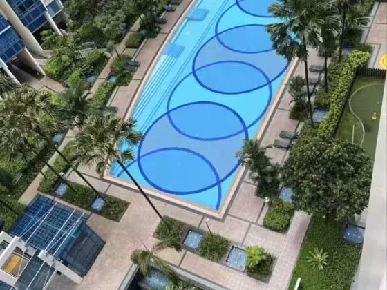 单间出租 • 博物馆 •  City Square Residences • S$1500 • 住宅公寓 • 普通房 照片