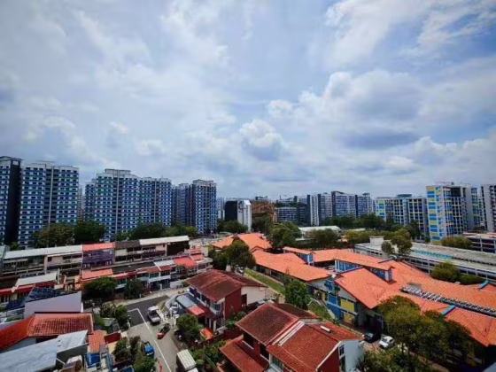 房屋出售 • 芽笼 • 252 Choa Chu Kang Avenue 2 • S$550000 • 3房(2臥室) • 1140ft² / 105m² 照片