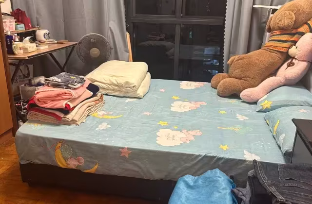 单间出租 • 芽笼 •  Regent Grove • S$950 • 住宅公寓 • 普通房
