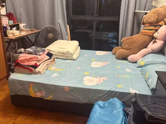 单间出租 • 芽笼 •  Regent Grove • S$950 • 住宅公寓 • 普通房 照片