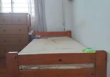 单间出租 • 纽顿 • 77 Lorong Limau • S$500 • 3房(2臥室) • 普通房
