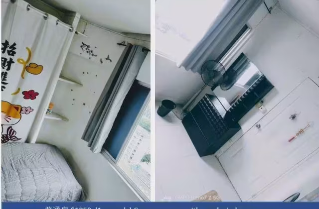 单间出租 • 博物馆 •  Textile Centre • S$1050 • 住宅公寓 • 普通房