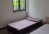 单间出租 • 武吉知马 • JALAN CHEMPAKA PUTEH (488999) • S$1300 • 联排排屋 • 佣人房