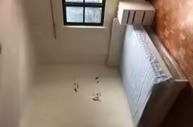 单间出租 • 纽顿 •  Shan Gate Apartments • S$1650 • 住宅公寓 • 主人房