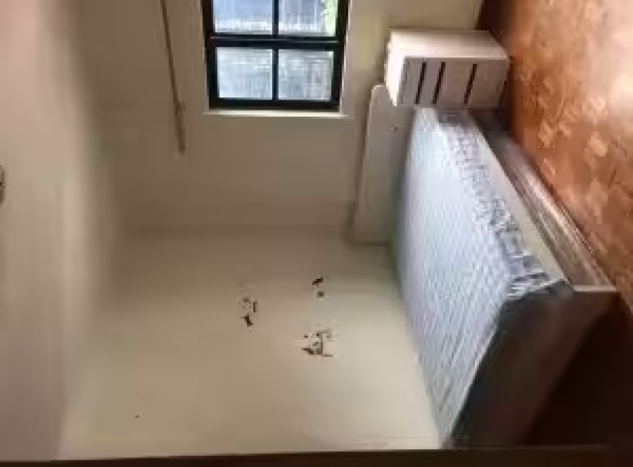 单间出租 • 纽顿 •  Shan Gate Apartments • S$1650 • 住宅公寓 • 主人房 照片