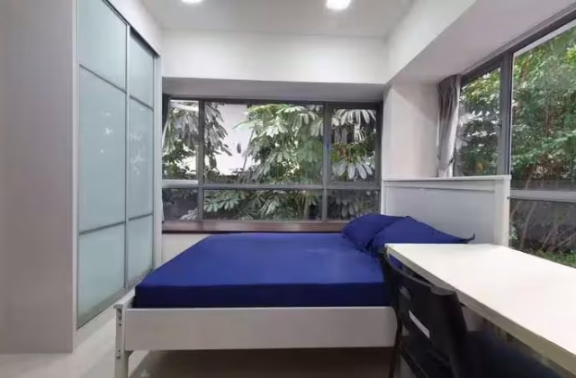 单间出租 • 蔡厝港 • NEPAL PARK (139407) • S$1500 • 住宅公寓 • 主人房