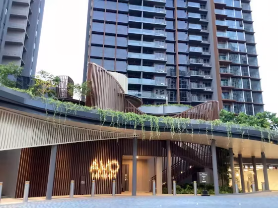 整套出租 • 乌节 •  Amo Residence • S$4200 • 住宅公寓 • 678ft² / 62m² 照片