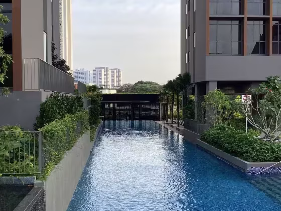 整套出租 • 乌节 •  Amo Residence • S$4200 • 住宅公寓 • 678ft² / 62m² 照片
