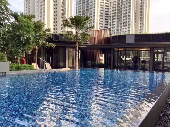 整套出租 • 乌节 •  Amo Residence • S$4200 • 住宅公寓 • 678ft² / 62m² 照片