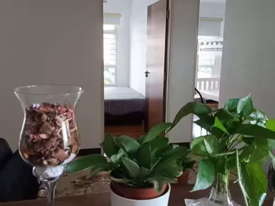 单间出租 • 盛港 • 287A Compassvale Crescent • S$550 • 4房(3臥室) • 床位出租 照片