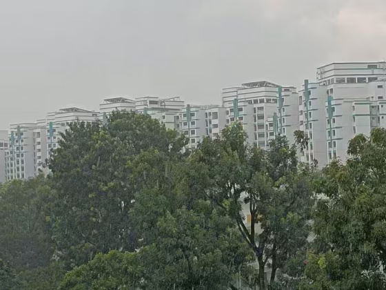 房屋出售 • 林厝港 • 668A Jurong West Street 64 • S$580000 • 3房(2臥室) • 916ft² / 85m² 照片