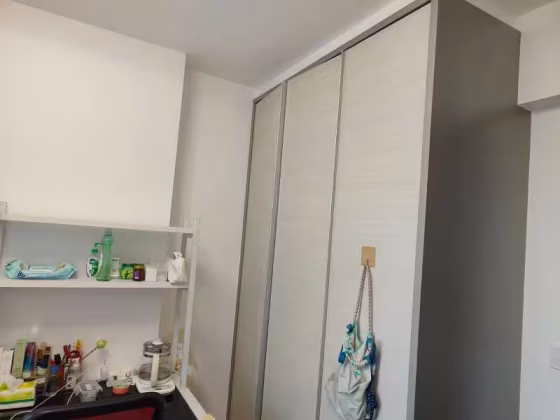 单间出租 • 市中心 • 275A Bishan Street 24 • S$1500 • 执行组屋 • 普通房 照片