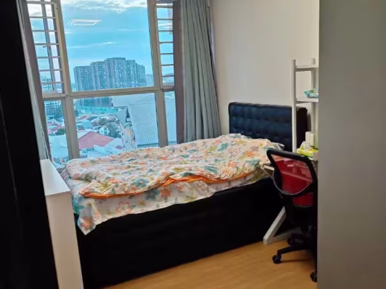 单间出租 • 市中心 • 275A Bishan Street 24 • S$1500 • 执行组屋 • 普通房 照片