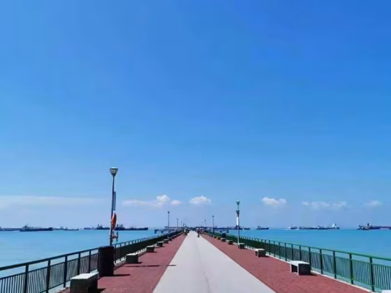 单间出租 • 武吉知马 •  The Bayshore • S$1150 • 住宅公寓 • 普通房 照片