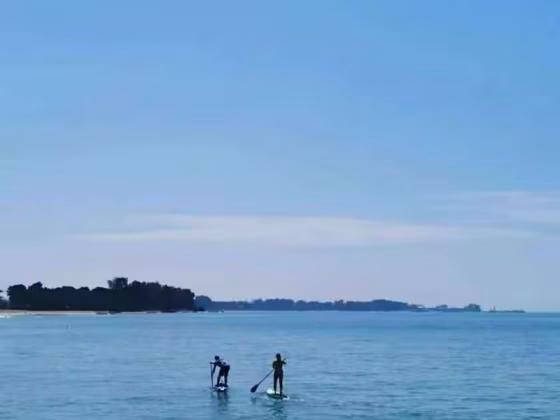 单间出租 • 武吉知马 •  The Bayshore • S$1150 • 住宅公寓 • 普通房 照片