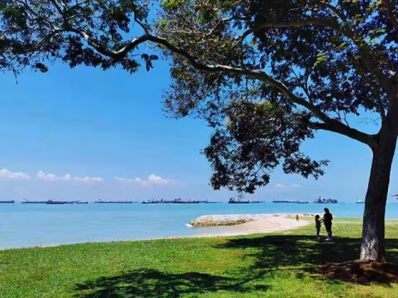单间出租 • 武吉知马 •  The Bayshore • S$1150 • 住宅公寓 • 普通房 照片