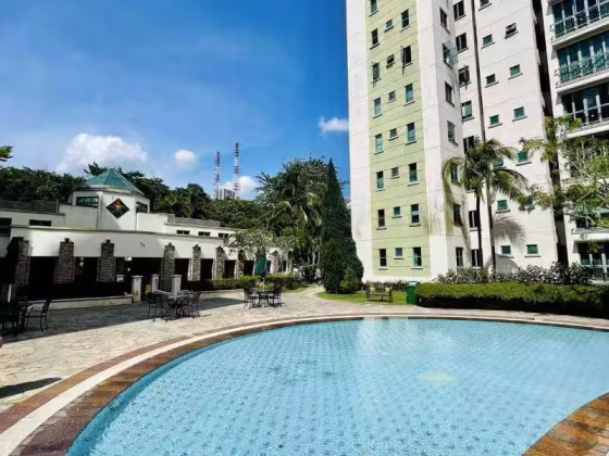 单间出租 • 红山 •  Springdale Condo • S$980 • 共管公寓 • 普通房 照片
