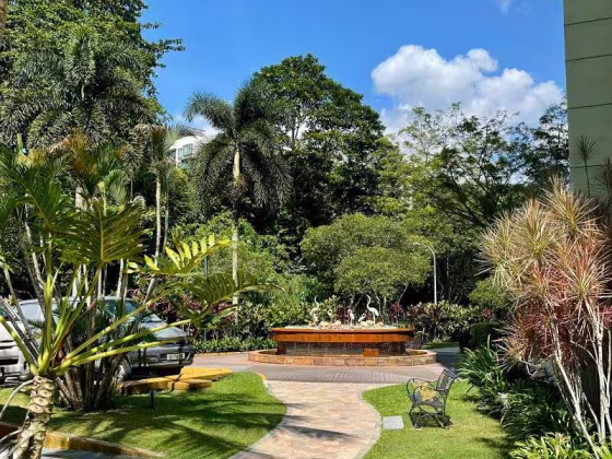 单间出租 • 红山 •  Springdale Condo • S$980 • 共管公寓 • 普通房 照片
